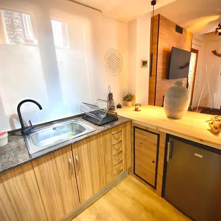 アパート Cal Domenec - Duplex Con Encanto - Se Admiten Mascotas リアルプ
