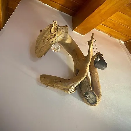 Cal Domenec - Duplex Con Encanto - Se Admiten Mascotas Rialp