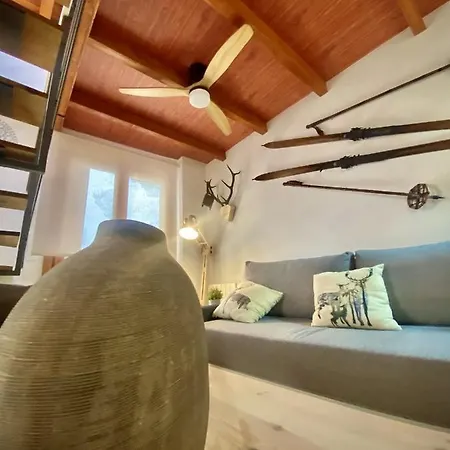 アパート Cal Domenec - Duplex Con Encanto - Se Admiten Mascotas リアルプ