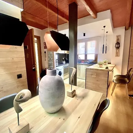 Cal Domenec - Duplex Con Encanto - Se Admiten Mascotas